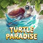 Turtle Paradise